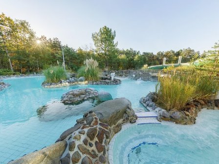 Center Parcs Les Hauts Des Bruyeres swimming