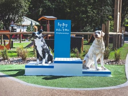 Bark yard at Haven Hafan y Mor Holiday Park 