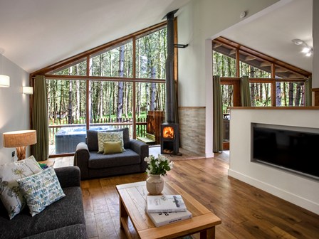 Inside a Blackwood Forest lodge