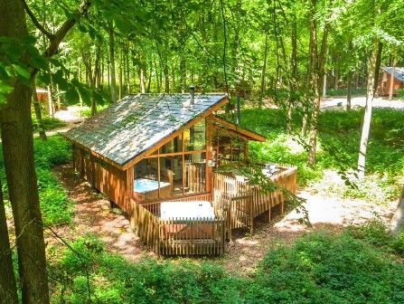 Blackwood Forest lodge with hot tub