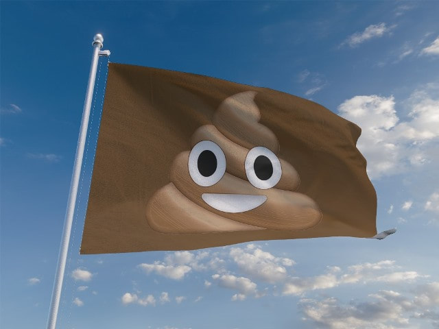 Mockup of Brown Flag Award