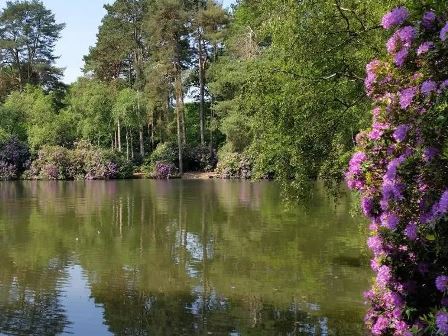 Flowers next to the water at California Chalet and Touring Park