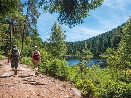 Black Forest walking 