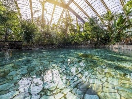 Swimming pool at Center Parcs Erperheide