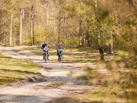 Center Parcs Het Meerdal bike ride