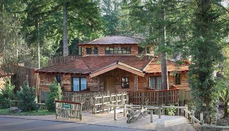 Center Parcs Treehouse Outside