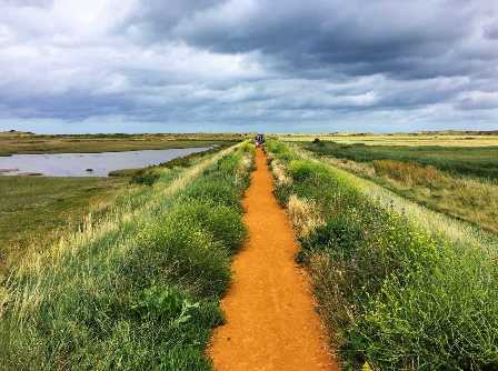 Footpath on the Norfolk broads