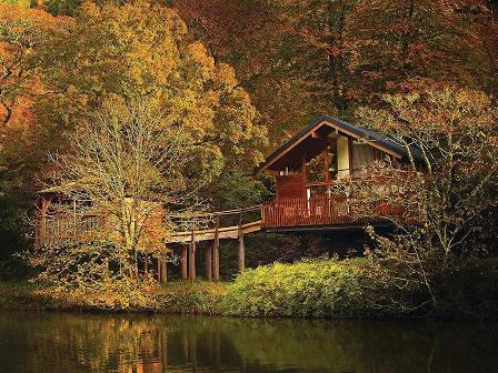 Golden Oak Treehouse in Cornwall