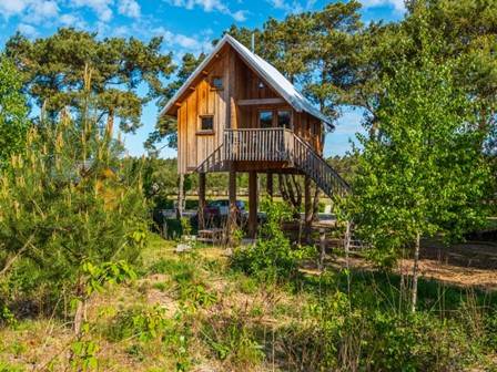 EuroParcs De Wije Werelt treehouse