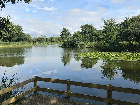 Fishing lakes at Trevella Holiday Park in Cornwall