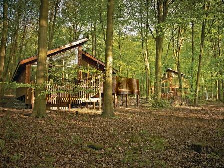 Woodland lodge at Blackwood Forest Lodges