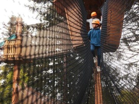 High ropes at Center Parcs Les Trois Forêts 