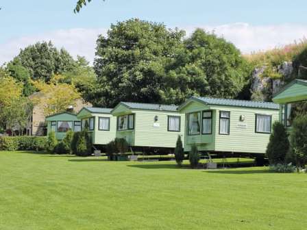 Several caravans at Lime Tree Park