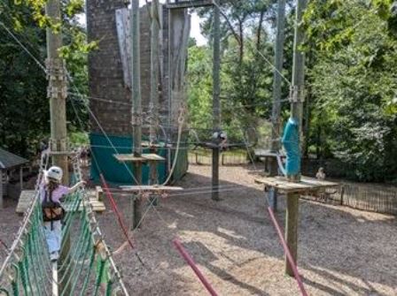 Low ropes at Center Parcs Erperheide in Belgium