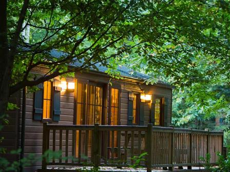 Lodge at Davy Crockett Ranch