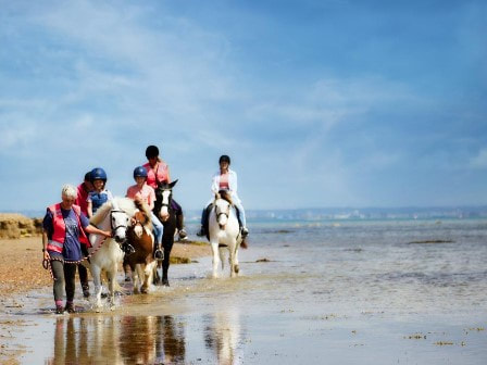 Nodes Point horses on the beach