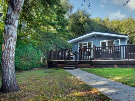 Lodge at dog friendly Oakdene Forest Park