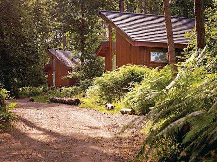 Woodland lodges in Nottinghamshire