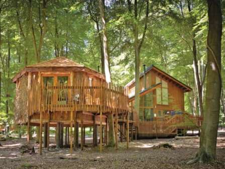 Woodland lodge at Thorpe Forest Lodges