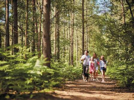 Shorefield Oakdene Forest Park