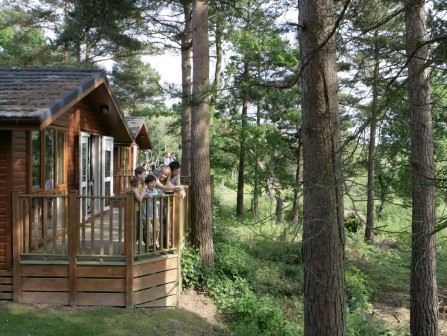 Lodge at woodland at Warmwell Holiday Park