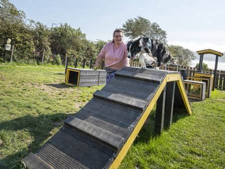 Woof Park at Parkdean Resorts